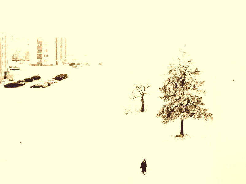 Фото жизнь