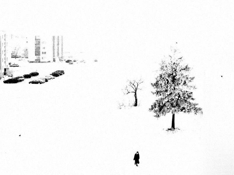 Фото жизнь