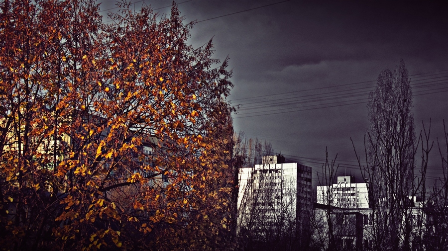 Фото жизнь