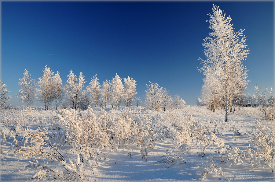 Фото жизнь - Михаил Филиппов  - Зима в разгаре - ***