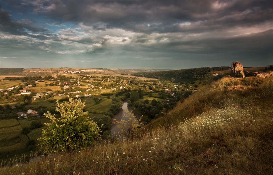 Фото жизнь