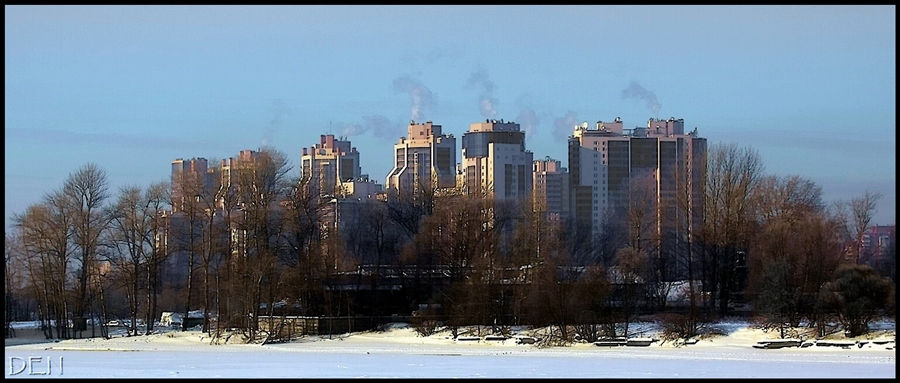 Фото жизнь