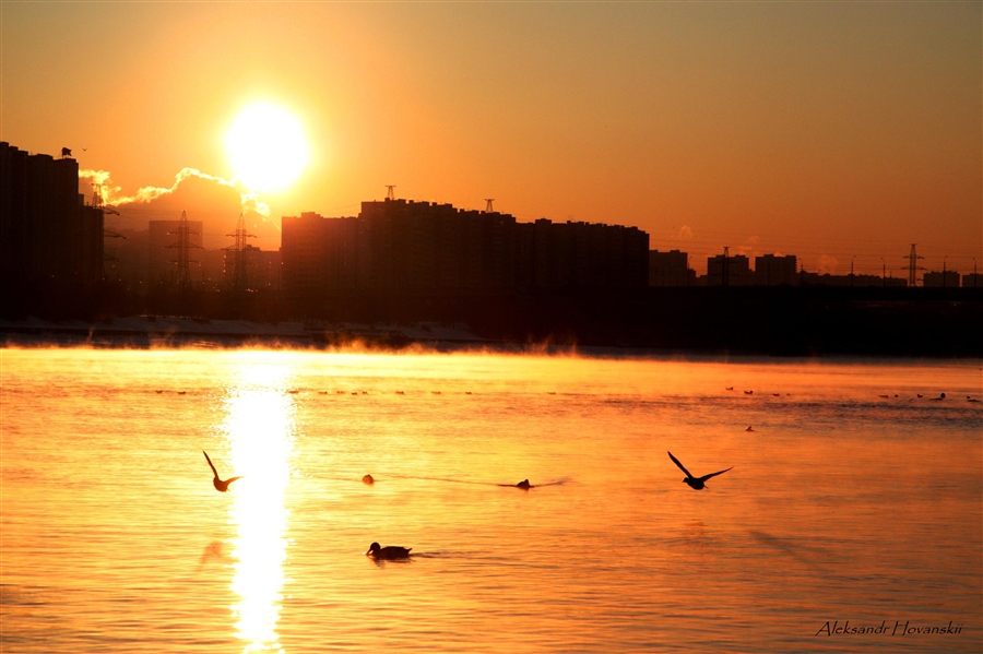 Фото жизнь