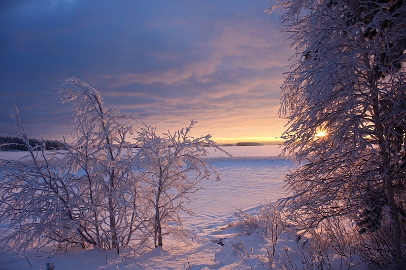 Фото жизнь