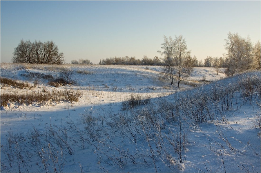 Фото жизнь