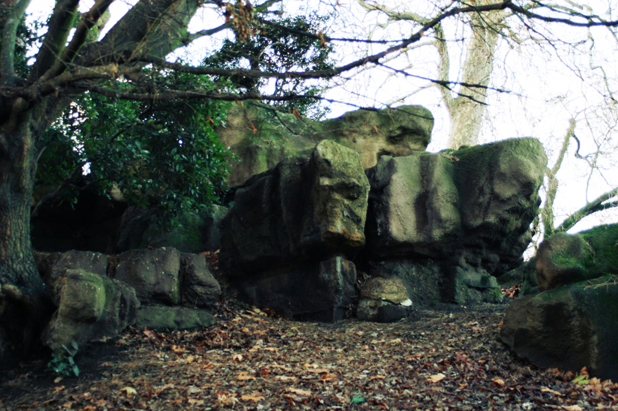 Фото жизнь (light) - van_khu - Nature impression - Fantasy world