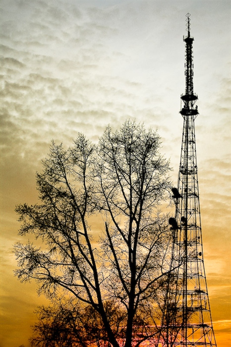 Фото жизнь