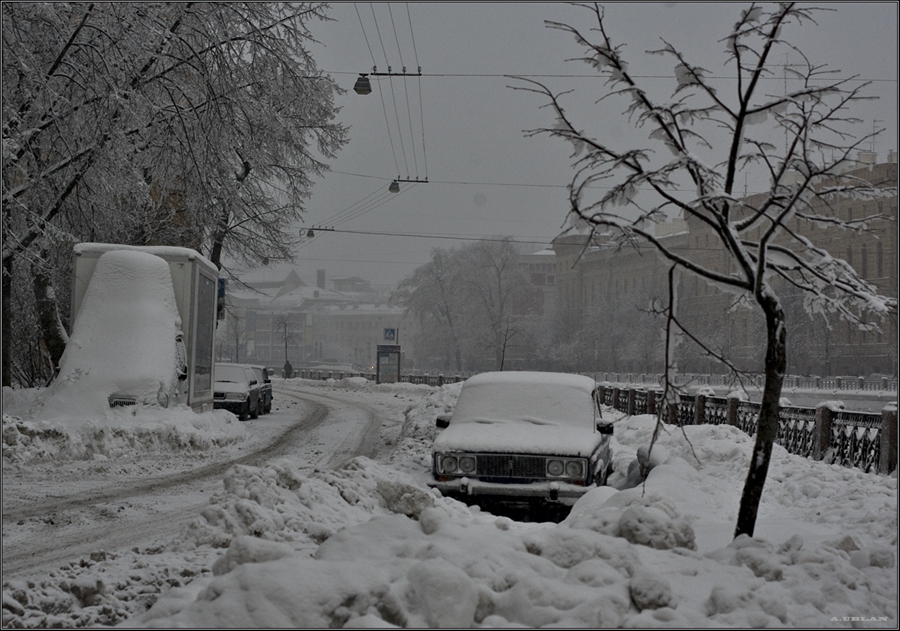 Фото жизнь