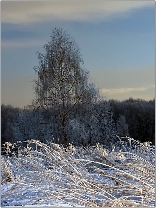 Фото жизнь