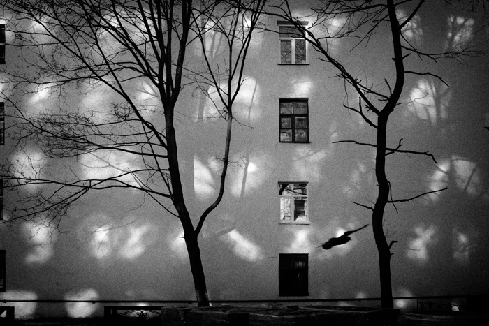 Фото жизнь (light) - ulitka - корневой каталог - ***