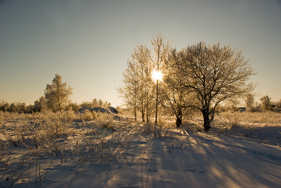 Фото жизнь (light) - temas - Вокруг дома - Снег и солнце