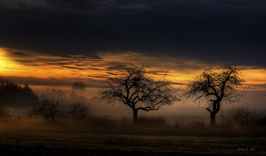 Фото жизнь (light) - AHAVA -  - Двое