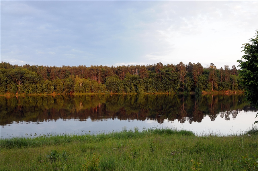 Фото жизнь