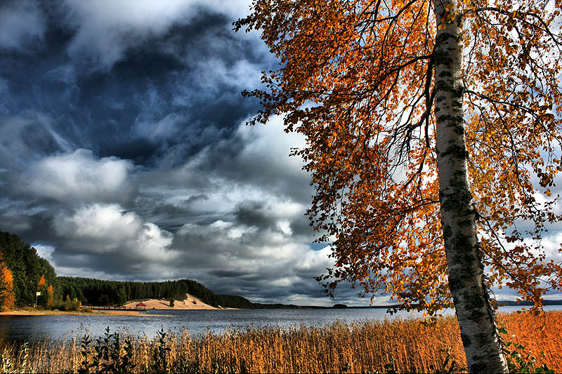 Фото жизнь - Valtteri Mulkahainen - корневой каталог - Яркие цвета осени ...