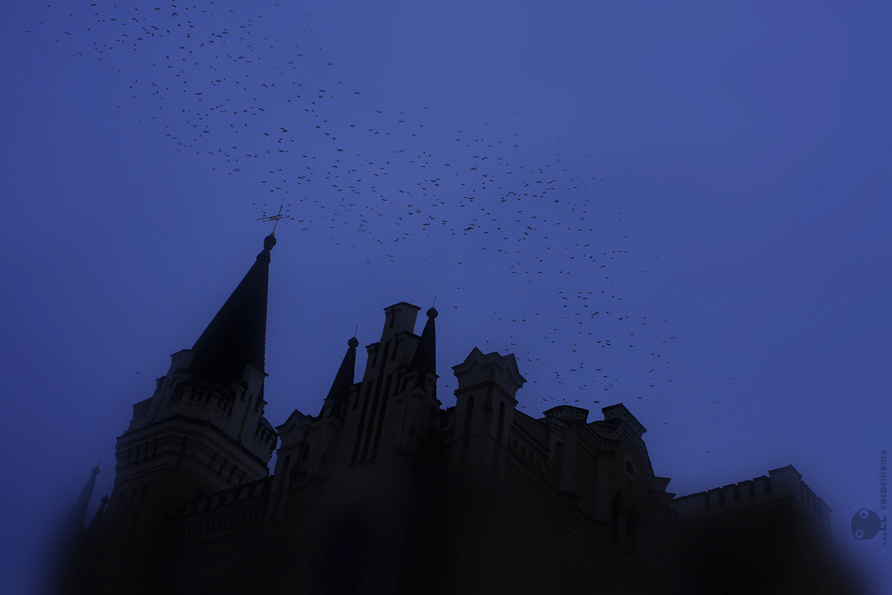 Night Flights.