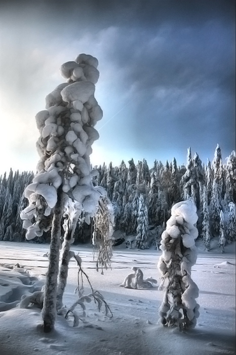 Фото жизнь