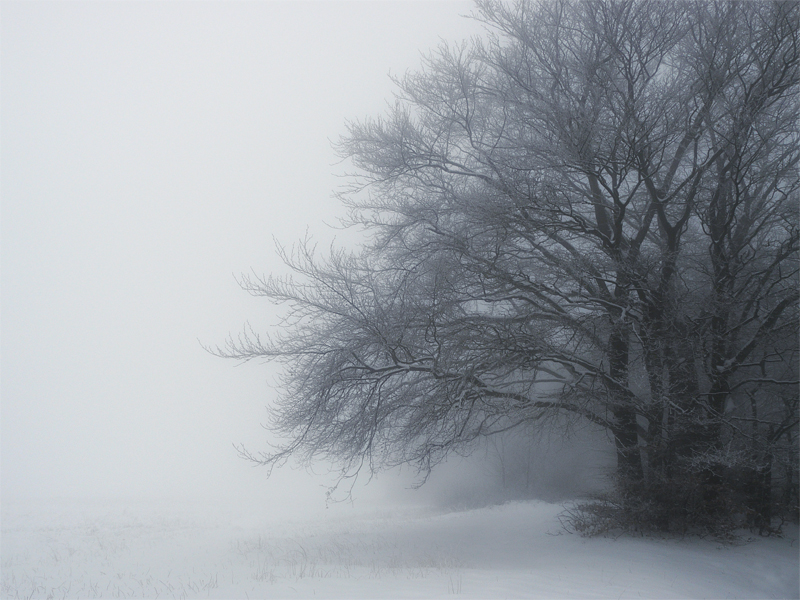 Фото жизнь (light) - mystera - Winter Landschaft. - ...
