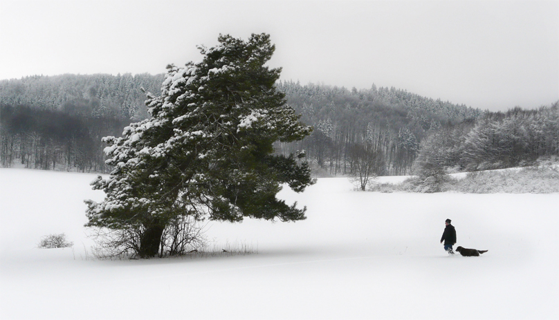 Фото жизнь (light) - mystera - Winter Landschaft. - НЕодинокий странник ))