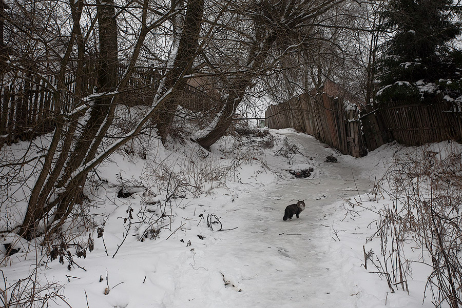 Фото жизнь (light) - Валерий Митрофанов - МОЙ ИСЧЕЗАЮЩИЙ ГОРОД - Городской пейзаж с котом