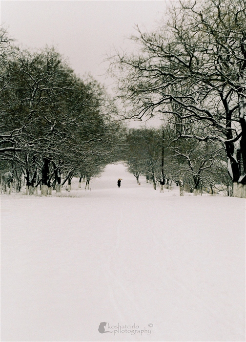 Фото жизнь