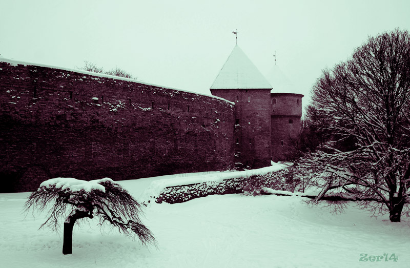 Фото жизнь (light) - zer14 - Бегом по Таллинну - Крепостная стена