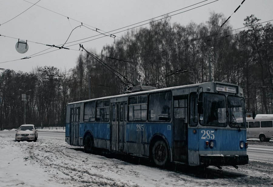 Фото жизнь (light) - Лилия *** - корневой каталог - melancholy