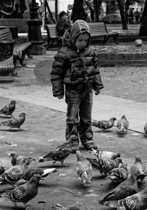 Фото жизнь