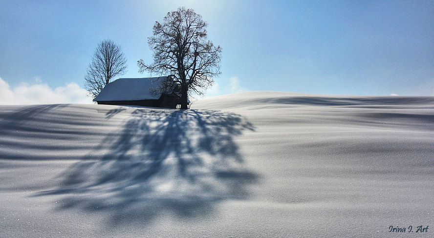 Фото жизнь (light) - AHAVA -  - Зима в избушке