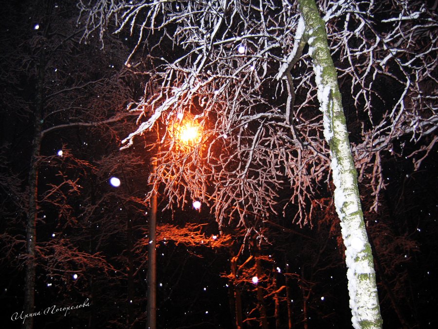 Фото жизнь (light) - Grafinya59 - корневой каталог - Зимний вечер