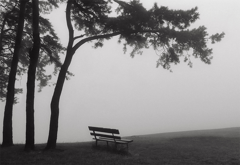 Фото жизнь - mystera - Faszination Nebel. - Traumen.
