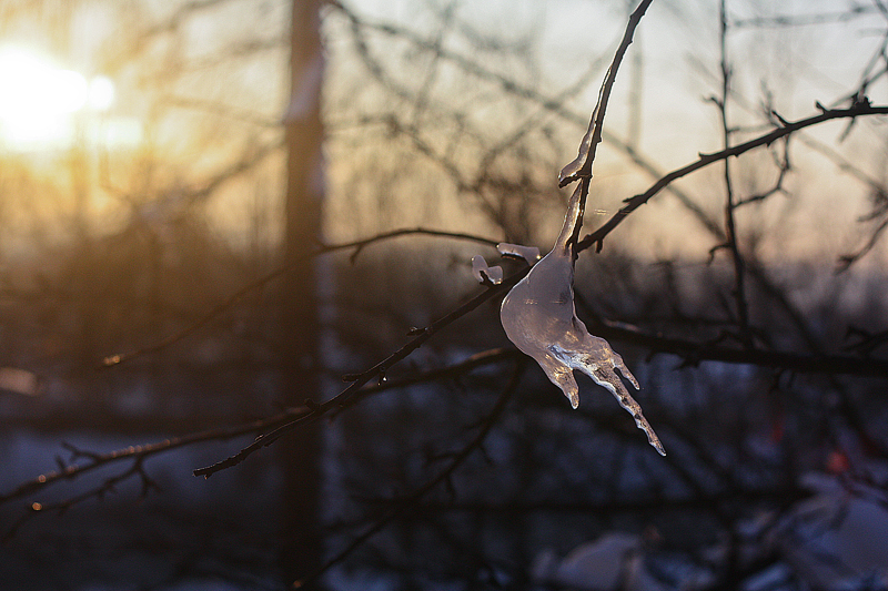 Фото жизнь (light) - Andrey-Zayac - корневой каталог - Отблески зимнего вечера
