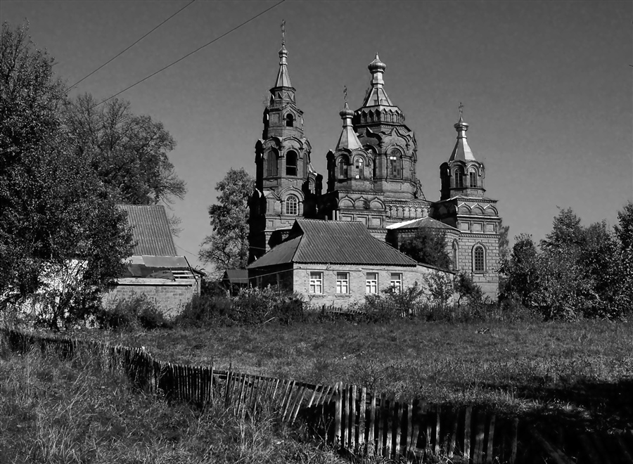 Фото жизнь