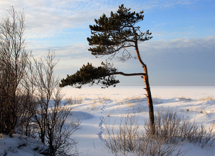 Фото жизнь