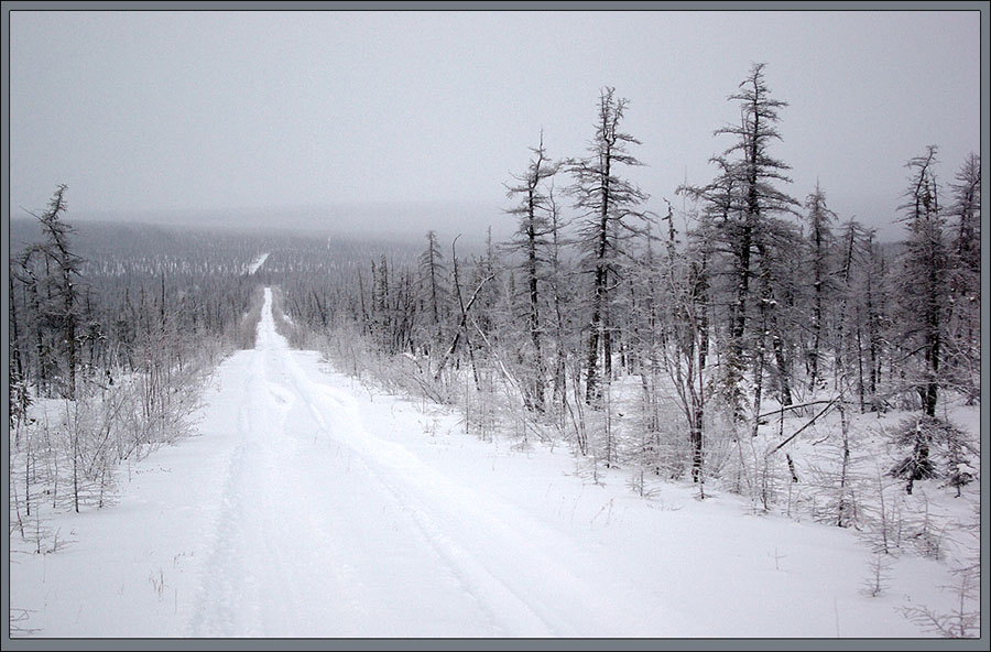 Фото жизнь (light) - Виктор Солодухин - Сказочная зима - Тайга, да километры