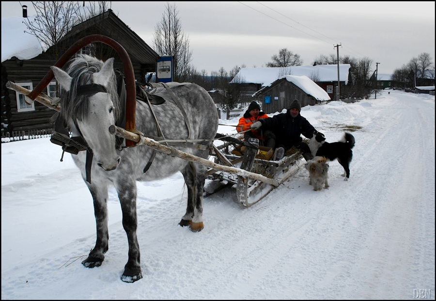 Фото жизнь