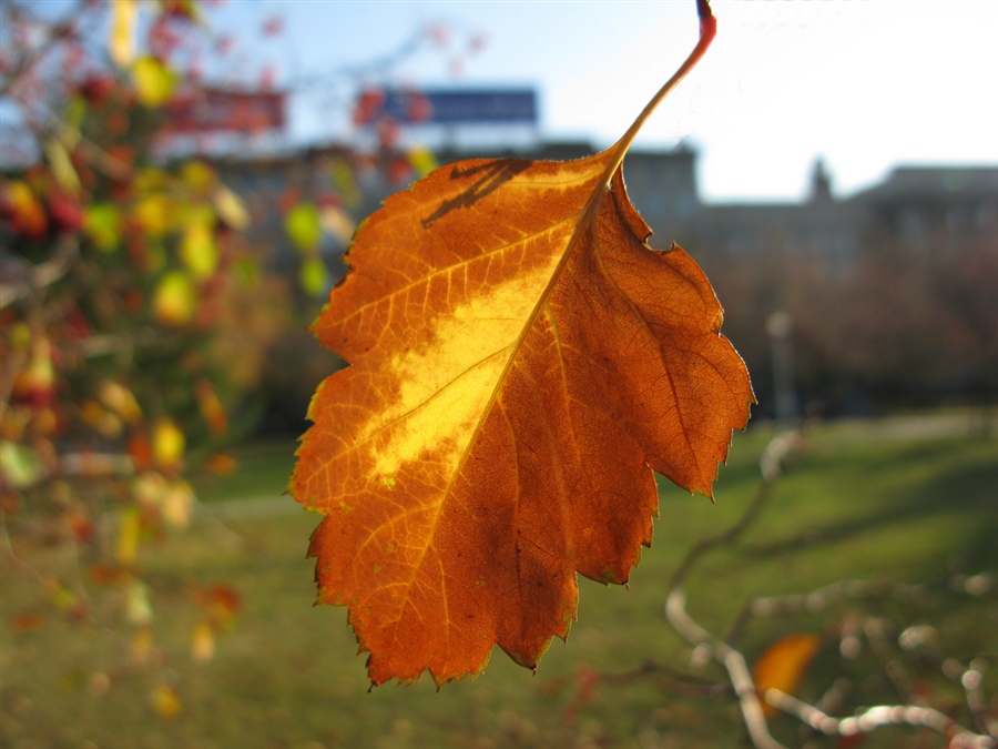 На грани прекрасного