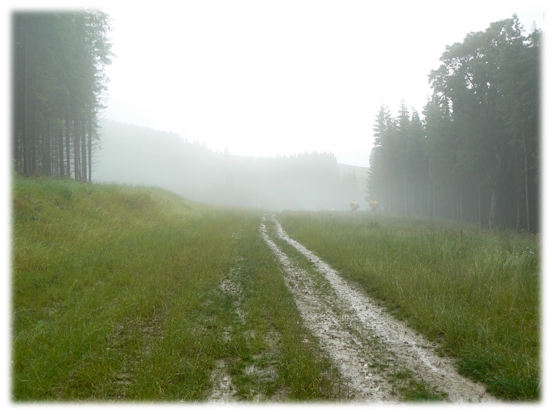 Фото жизнь (light) - heavenly_host - корневой каталог - Настоящего не вернуть