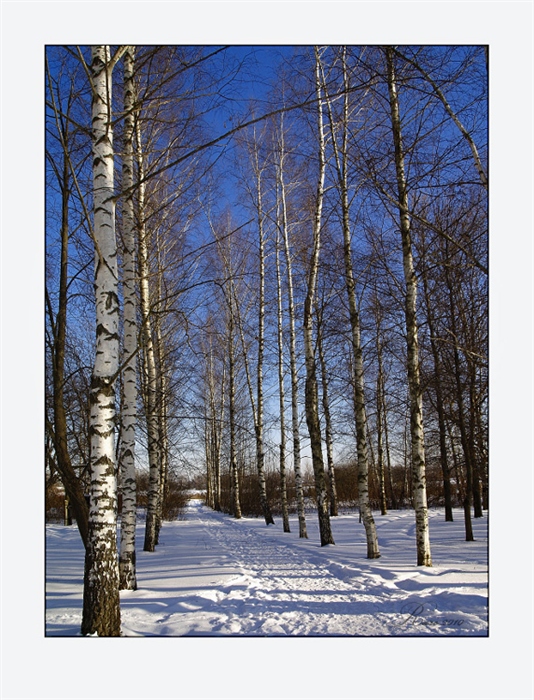 Фото жизнь