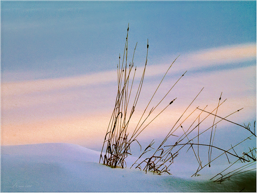 Фото жизнь (light) - Raisa Rare - Моя Запрудня!  - В розовом свете. 