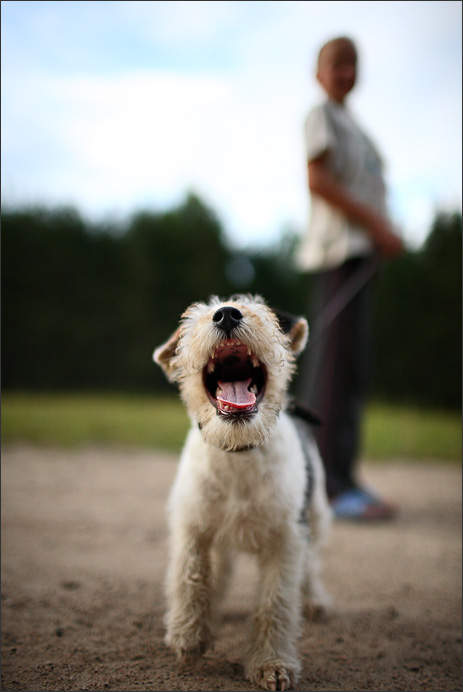 Фото жизнь (light) - zumfest - корневой каталог - зверюга