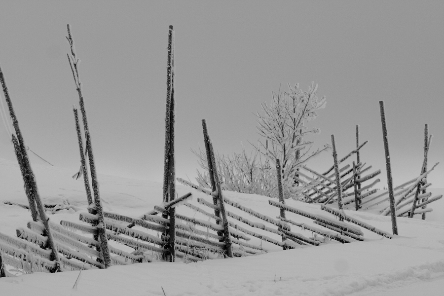 Фото жизнь (light) - Алексей Подать - корневой каталог - #46