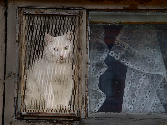 Фото жизнь (light) - Николай Пушилин - корневой каталог - -