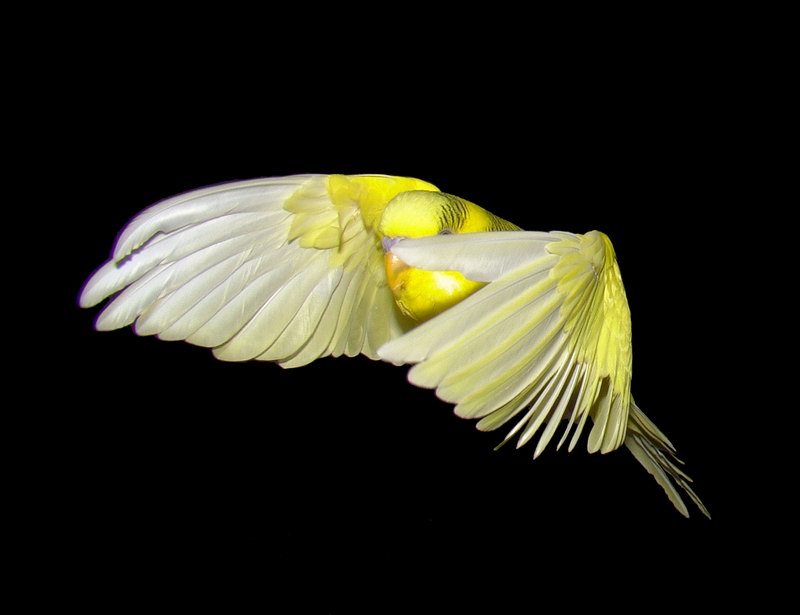 Фото жизнь (light) - Upiter - корневой каталог - Полёт