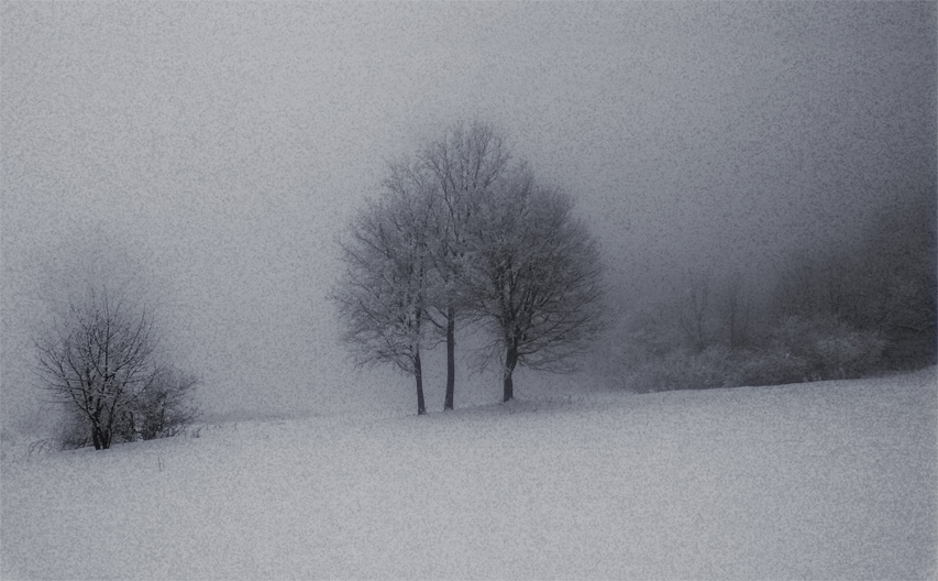 Фото жизнь (light) - mystera - Winter Landschaft. -  ***