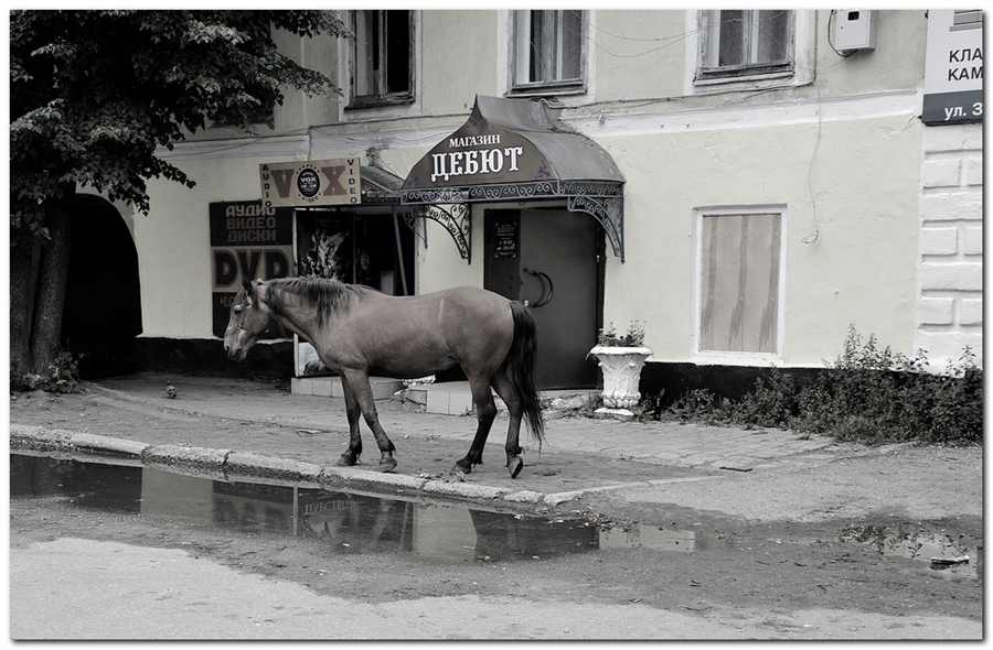 Фото жизнь