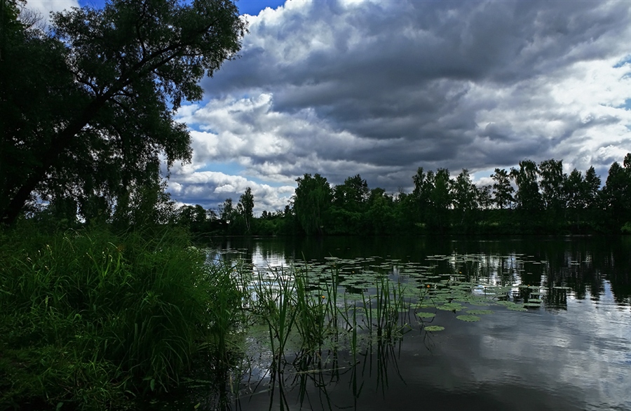 Фото жизнь