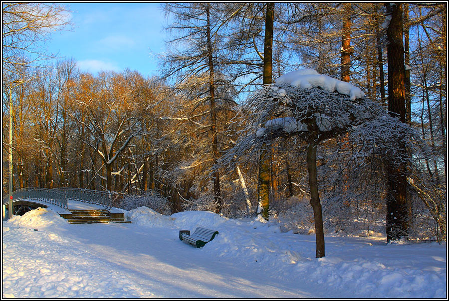 Фото жизнь (light) - klepa - пейзажи - зимним солнечным днем..