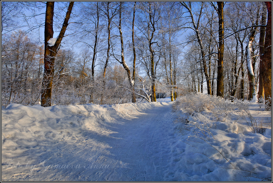 Фото жизнь (light) - klepa - пейзажи - ***