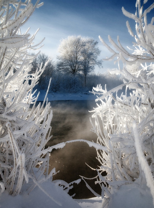 Фото жизнь