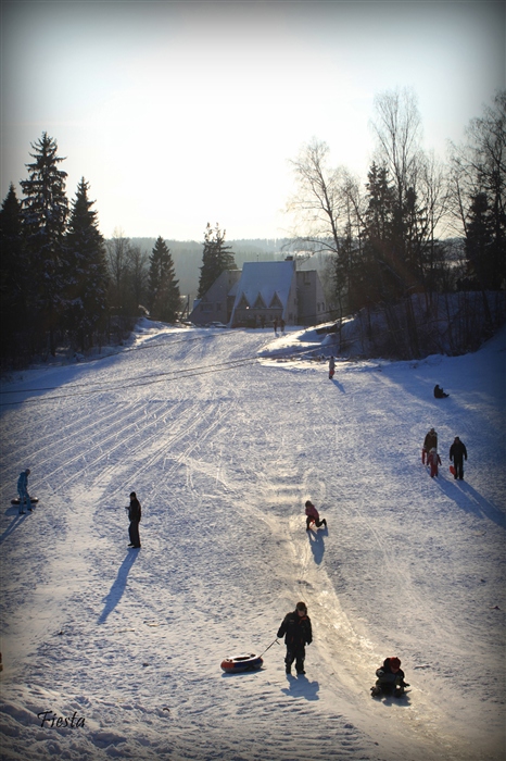 Фото жизнь